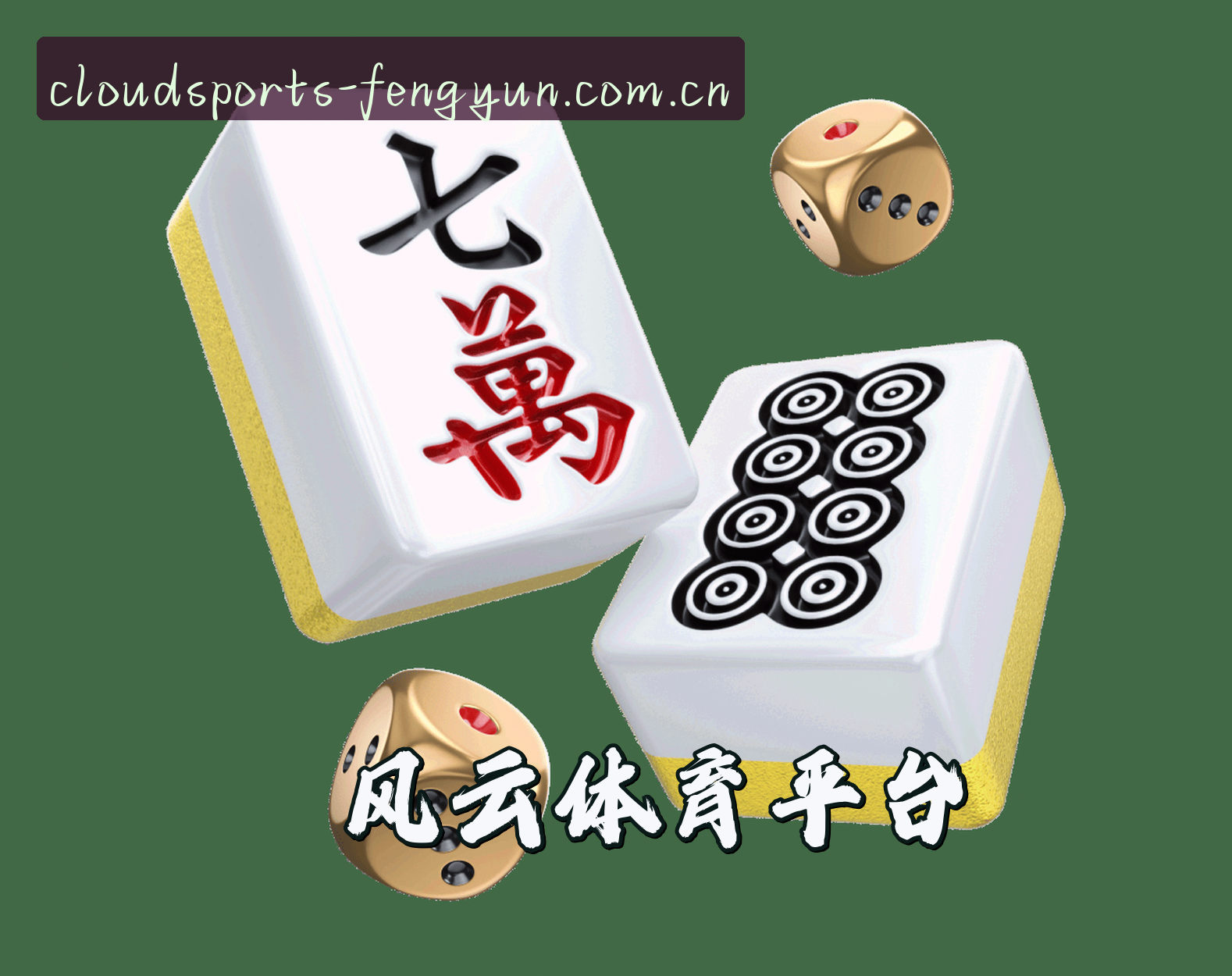 关于我们 - 风云体育(中国)官网